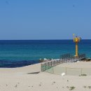 솟대다리 이미지