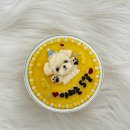 반려동물 수제간식 태식당 | [천안 애견수제간식] 반려동물 케이크 전문점 &#34;천안 태식당&#34; 두정동 반려동물 수제간식점, 애견간식 추천
