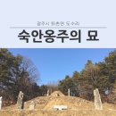 숙안공주묘 이미지