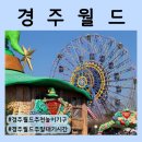 엑스존 | 경주월드 주말 대기시간 | 주말 대기시간 꿀팁 추천 코스