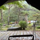 충북원협 하나로마트 | [내돈내산] 충북 제천 애견동반 드래곤 오토캠핑장 후기