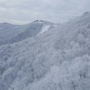 호떡이야기 - 목포시 영산로 258 | 호떡이야기