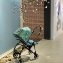 리미티드글로벌 | 부가부 25주년 팝업 아이와 방문 폭스5 느와르 리미티드 에디션 실물 후기