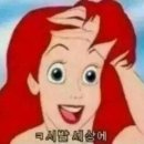 수원-0139 Daum카페