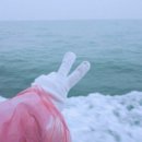 축항대로166번길 이미지