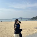 부산] 먹으러 간 2박3일 부산여행 2일차_거대곰탕, 춘하추동밀면, 부전시장 명란김밥(주말 웨이팅...