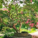 본죽 읍내동점 이미지