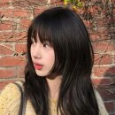비에이치씨(BHC) 세종나성점 | 추천! 손질 쉬운 레이어드펌, 새벽 예약 OK｜모브헤어 세종나성점 나성동미용실 반곡동미용실 어진동...