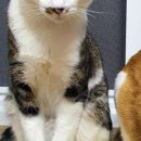 복자여중고 이미지