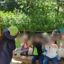 숲체험 리틀 포레스트 이미지