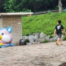 원주곤충마을박물관 이미지