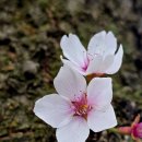 홍어1번지 이미지