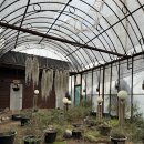 허브 찜질방 | 몸이 찌뿌등한데 여유있는 시간이 생겼다. 그럼 여기 가볼래요 &#34; 허브찜질방&#34; 다녀온 후기