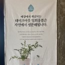 [대전 카페]더노은로 제주스럽게 내돈내산 후기(시간,주차,메뉴,카라반&amp;캠핑장 예약 방법)