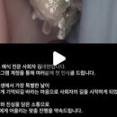 김대현 | W8. 서울 영등포 결혼식 전문사회자 김대현 계약후기 | JK아트컨벤션 엠버루체홀