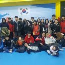 The조은태권도장 이미지
