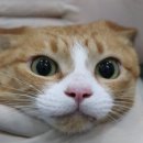 태일동물치과병원 이미지