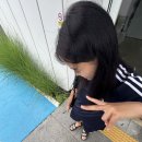 호법태권도장 이미지