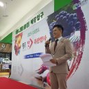 리더스의전클럽