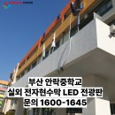 안락중학교 이미지