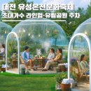 지하철역사 (월평역) | 대전 유성온천문화축제 2026 기본정보 초대가수 라인업 유림공원 주차 총정리