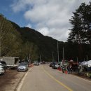 은행나무숲 주차장 부근 이미지