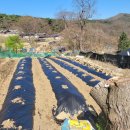 경기 남한산성 공기좋고 전망좋은 힐링용 밭전 321평 주말농장 텃밭 농막부지 매도 이미지