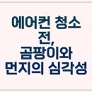 클린특수부대 | 여름휴가, 동탄 에어컨 세척으로 쾌적함까지! 맞벌이 부부 솔직 후기