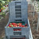 인복농장 이미지