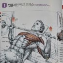 낭만헬스 이미지