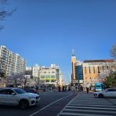 인천광역시 계양경기장 계양체육관주경기장 | 인천 벚꽃 명소 계양꽃마루 서부간선수로 벚꽃 | 주차 꿀팁 &amp; 사람 없는 비밀 장소!!