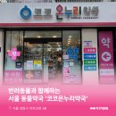 코코온누리약국 이미지