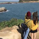 (주)동행투어 이미지