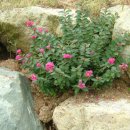 운천농장 이미지