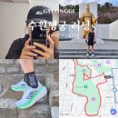 해비 | 해피빈 션 해비타르 삼일절 3.1런 수원 행궁동 러닝 코스 후기