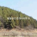 삼향-25 티스토리