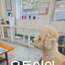 행복한 꼬마 거북이 네이버블로그