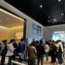 에코라엘 이미지