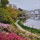 갤러리 진심 1949 이미지