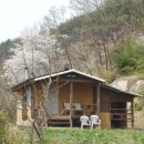 초담 이미지