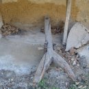 성산면-2 이미지