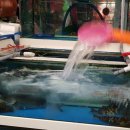 이리산소 이미지