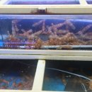 독도장어구이 이미지