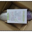 크린아이 이미지