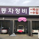PMP AUTO Daum카페