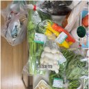 진수동물병원 | 찡찡이 2025년 12월 일기