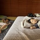 기운메디칼 네이버블로그