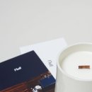 플러프 펫캔들, fluff 아로마캔들로 노견 릴렉싱케어해요