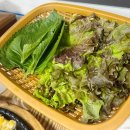 도셰프갯마을회 이미지