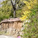 토담마을회관 이미지